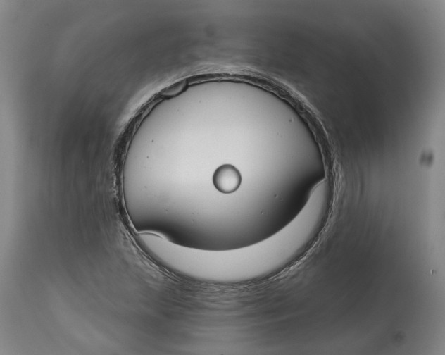 X0000114731215200911121747