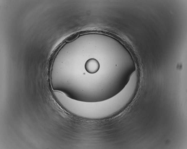 X0000114731216200911121747