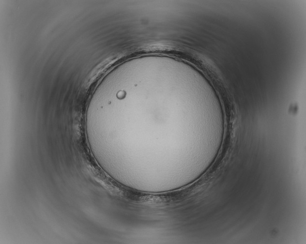 X0000114731217200911121747