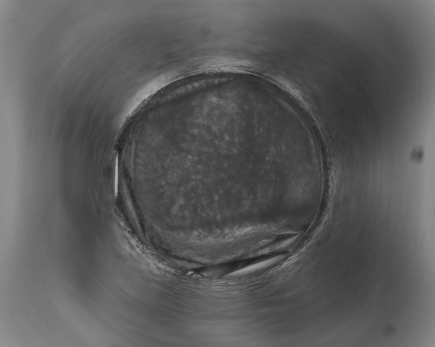 X0000114731219200911121747
