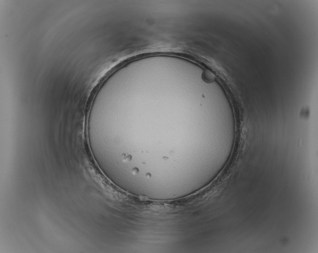 X0000114731220200911121747