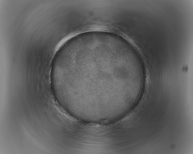 X0000114731222200911121747