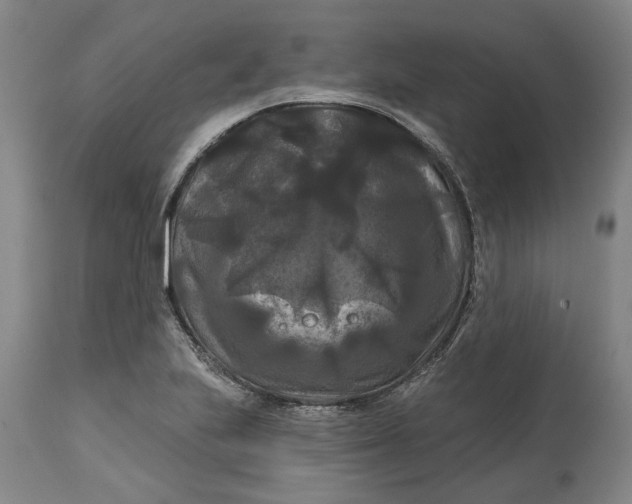 X0000114731223200911121747