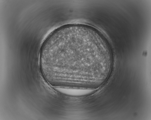 X0000114731224200911121747