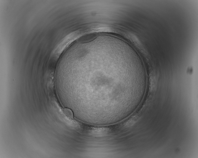 X0000114731225200911121747