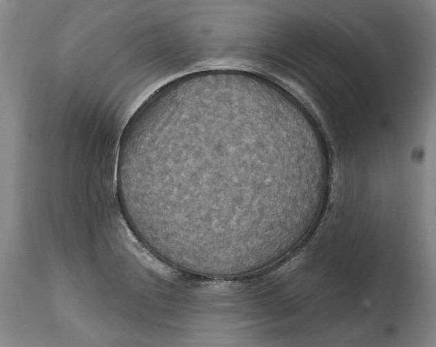 X0000114731228200911121747