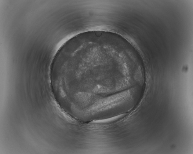 X0000114731230200911121747