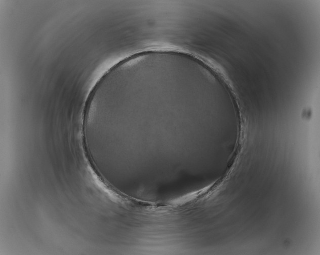 X0000114731231200911121747