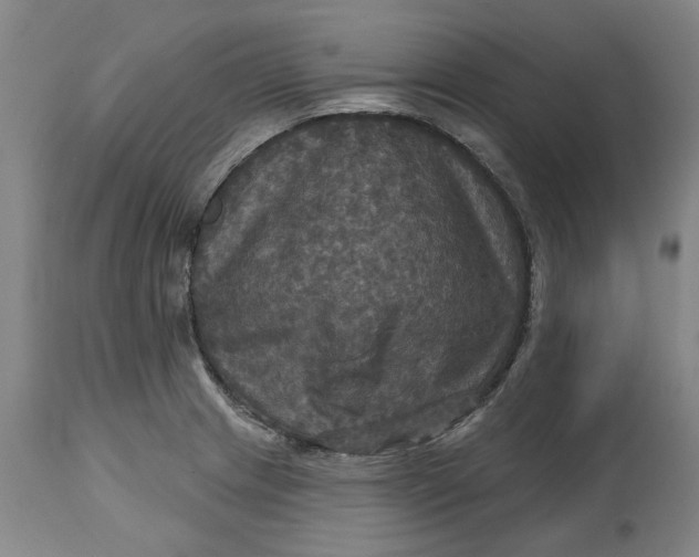 X0000114731233200911121747