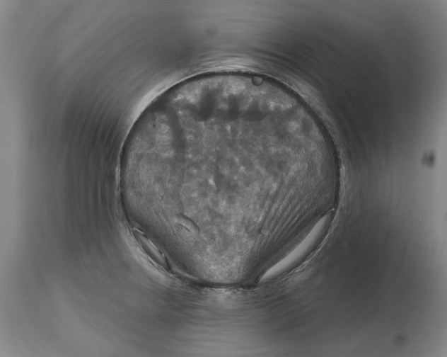X0000114731234200911121747