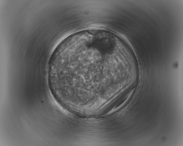 X0000114731235200911121747