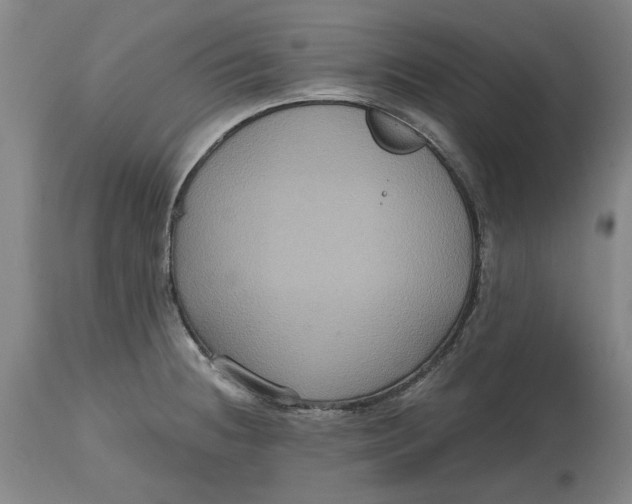 X0000114731236200911121747