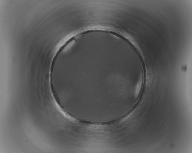 X0000114731237200911121747