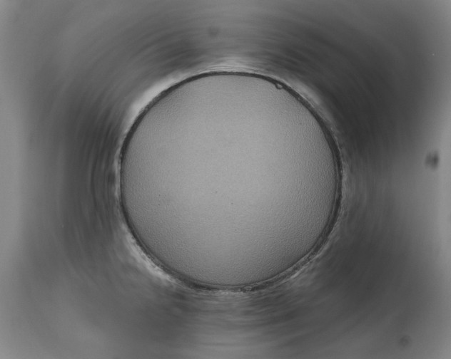 X0000114731238200911121747