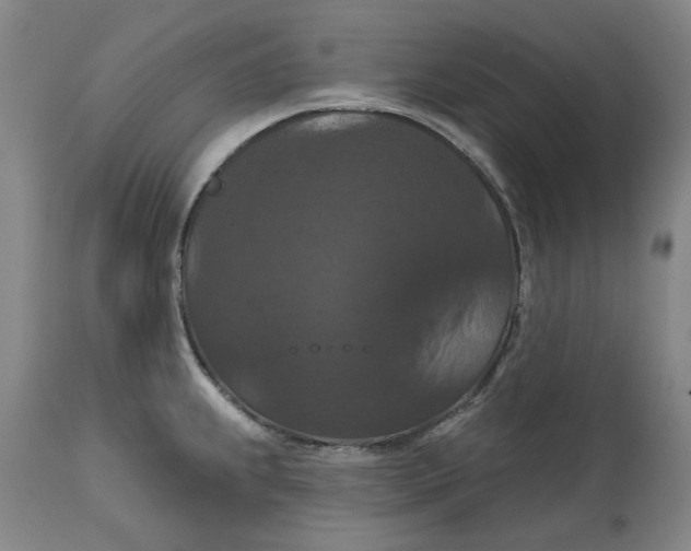 X0000114731239200911121747