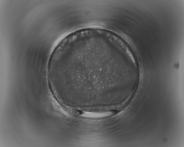 X0000114731240200911121747