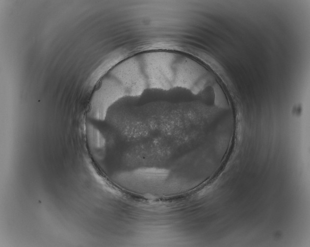 X0000114731241200911121747