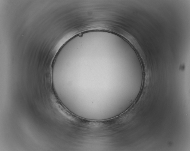 X0000114731242200911121747