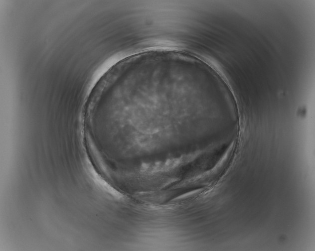 X0000114731243200911121747