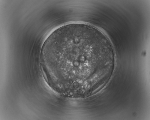 X0000114731244200911121747