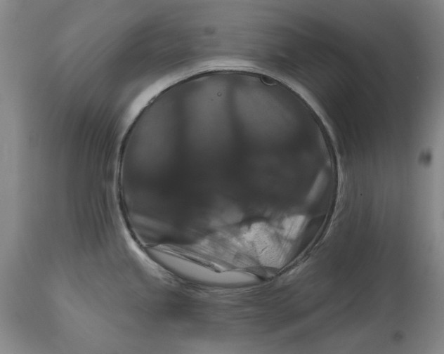 X0000114731245200911121747