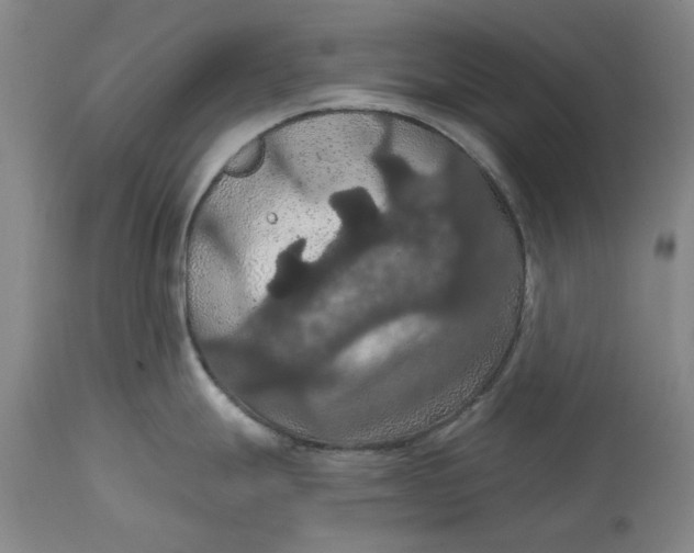 X0000114731247200911121748