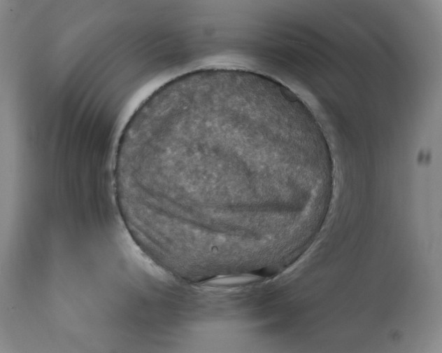 X0000114731248200911121748