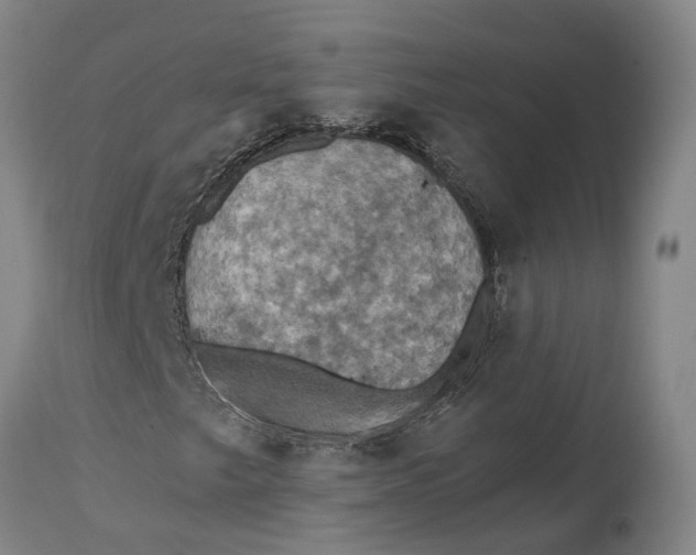 X0000114731249200911121747