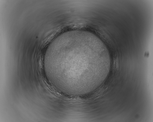 X0000114731250200911121747