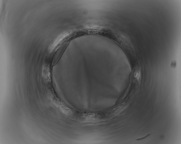 X0000114731252200911121747