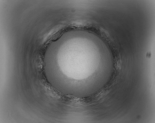 X0000114731253200911121747