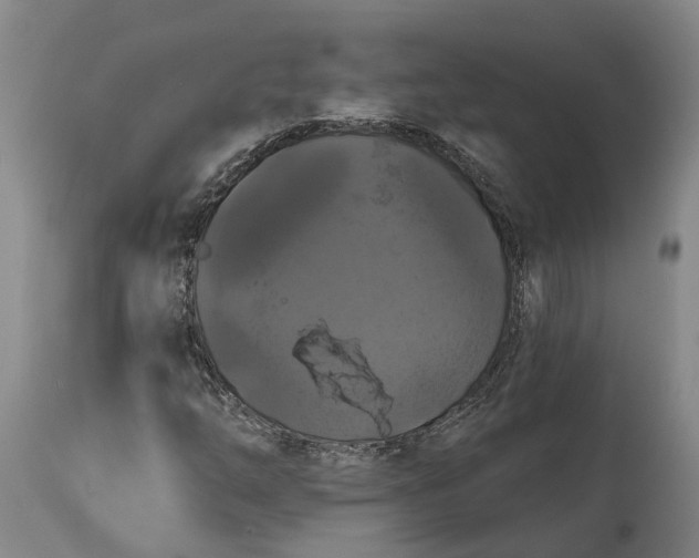 X0000114731254200911121747