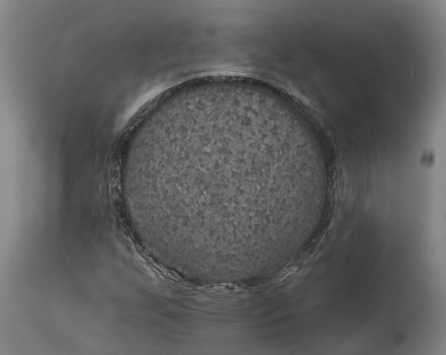 X0000114731255200911121747