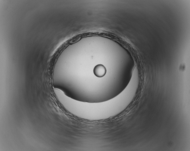 X0000114731256200911121747