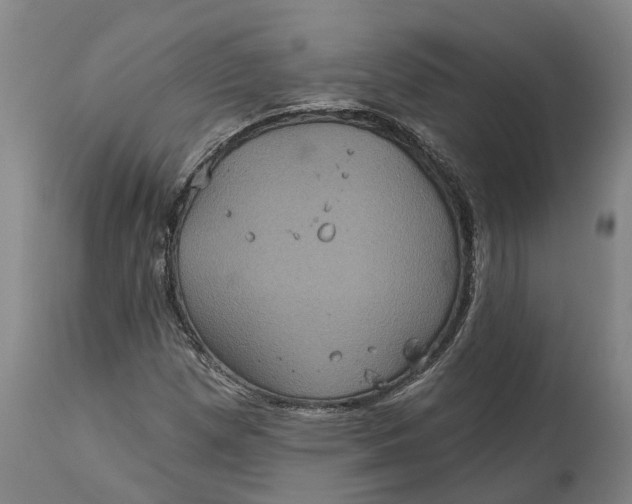 X0000114731257200911121747