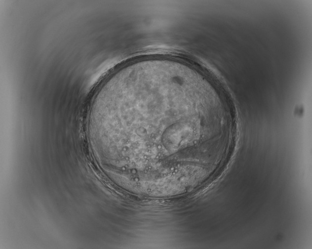 X0000114731259200911121747