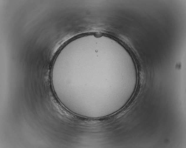 X0000114731260200911121747
