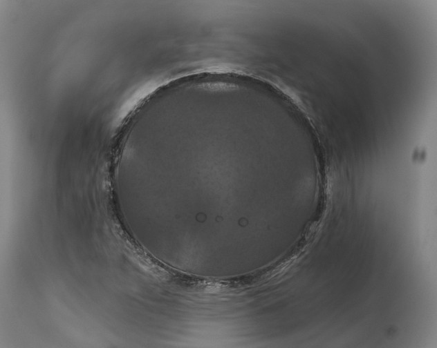 X0000114731263200911121747