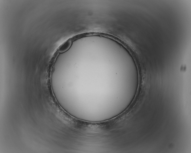 X0000114731264200911121747