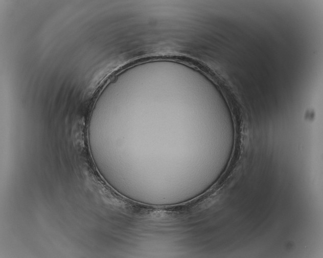 X0000114731265200911121746