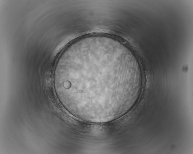 X0000114731266200911121746