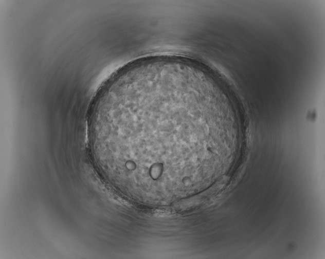X0000114731267200911121746