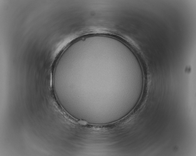 X0000114731269200911121746