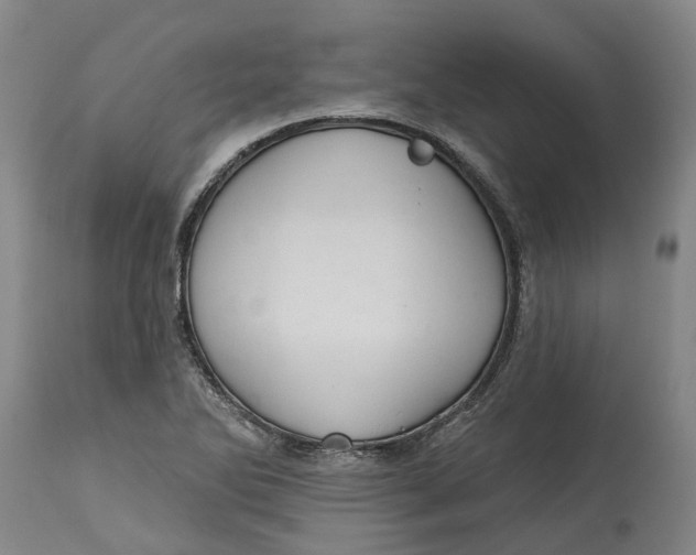 X0000114731270200911121746
