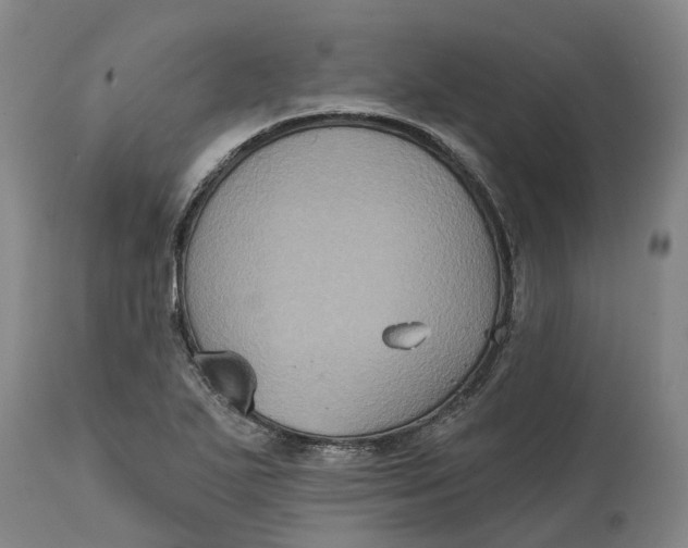 X0000114731271200911121746