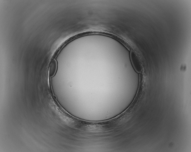 X0000114731272200911121746