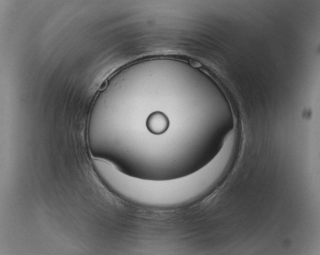 X0000114731273200911121746