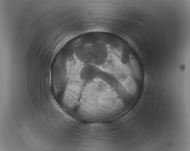 X0000114731274200911121746