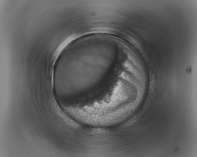 X0000114731275200911121746