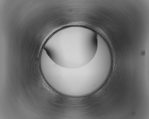 X0000114731276200911121746